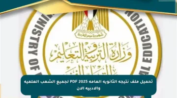 تحميل ملف نتيجة الثانوية العامة 2025 PDF لجميع الشعب العلمية والأدبية الآن